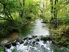 Le Boulou, à côté du Moulin de Fontas, en limite de Creyssac (à gauche) et de Bourdeilles. Vue prise vers l'amont.