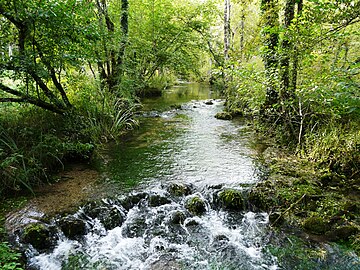 Le Boulou, à 100 mètres de son confluent avec la Dronne,à côté du Moulin de Fontas, marque la limite entre Creyssac (à gauche) et Bourdeilles.