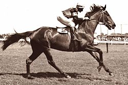 Rising Fast, 1954 winner