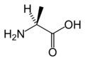 L-Alanina (Ala / A)