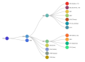 Clades Nextstrain, juillet 2021.