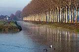 De Linge bij Elst in de herfst