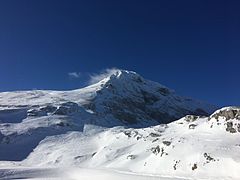 La Grande Moucherolle en hiver.