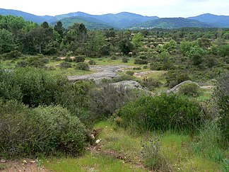 Blick auf La Sauvette (Mitte) von der im Norden anschließenden Plaine des Maures