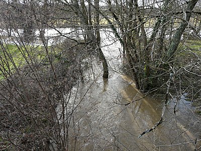 Mündung des Trincous (vorn) in die Côle bei Januarhochwasser