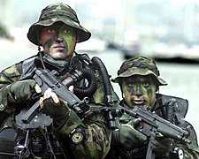 U.S. Navy SEALs armed with MP5-Ns on a training exercise