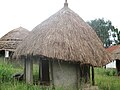 Acholi Old man House