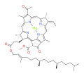 Bactériochlorophylle b