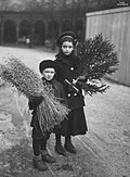 «Juleforberedelser», eit syskenpar avbilda med eit julenek av havre og eit juletre ved Kirkeristen i Oslo 1905. Foto: Anders Beer Wilse/Oslo Museum