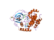 2jdv: STRUCTURE OF PKA-PKB CHIMERA COMPLEXED WITH A-443654