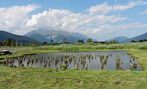 Reste der Pfahlbauten