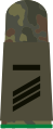 Hauptgefreiter UA (Heer, mountain infantry, field uniform)