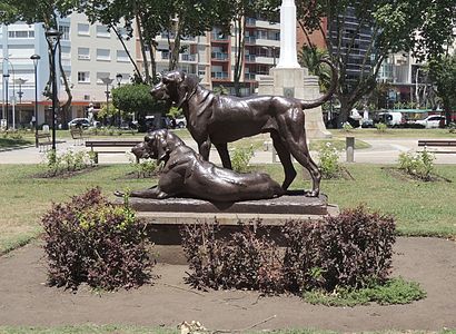 Les Chiens de relais, Mar del Plata, Argentine.