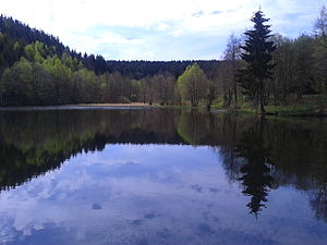 Blick vom Teichdamm über den Teich