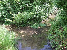 Furtbach (links im Bild) und Flussgraben (rechts im Bild) vereinigen sich zur Trebgast (vorne)