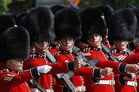 Image illustrative de l’article Welsh Guards