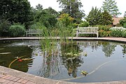 Koi pond, formerly the Wihtols' swimming pool