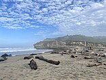 Looking north towards cliffs at San Gregorio State Beach