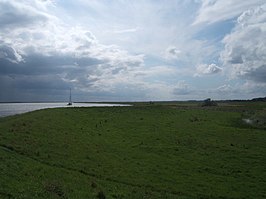 Gedgrave Marshes