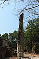 Beschädigte Stele mit Glyphen