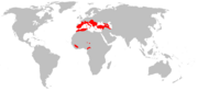 Aire de répartition du Minioptère de Schreibers