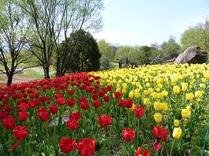 Sanuki Manno nationalpark