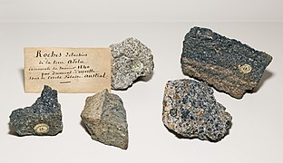 Rocks brought back by the expedition in 1840 MHNT