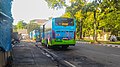 Beberapa armada Trans Metro Pasundan Koridor 5 dengan model "Celcius" saat berhenti di Halte Dipatiukur