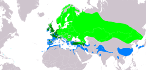 Natura arealo ﻿ Reproduktaj teritorioj ﻿ Ĉiujaraj prezencoj ﻿ Migrado ﻿ Vintrejoj Kompilita de "BirdLife International and Handbook of the Birds of the World (2016) 2006."