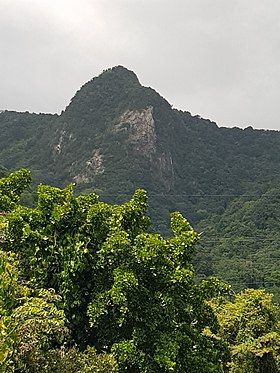 Vue sur le Piton à partir de la trace des Contrebandiers.