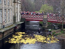 Hebden Bridge Duck Race, West Yorkshire