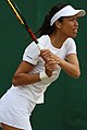 Hsieh Su-wei, Mixed Doppelteam