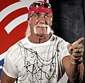 Vignette pour Hulk Hogan