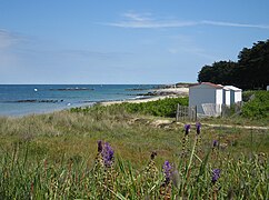 La plage des Sapins (nord-est de l'île).