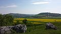 Buschberg, Steinmandl und Oberleiser Berg. Im Vordergrund Durchspießungsklippen aus Kalkstein.