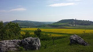 Blick von der Steinbacher Heide auf Buschberg (zivile Radarstation), Steinmandl (militärische Radarstation) und Oberleiser Berg (Aussichtsturm). Im Vordergrund erkennt man Gesteinsblöcke aus organodetritischem Kalkstein der Ernstbrunn-Formation.