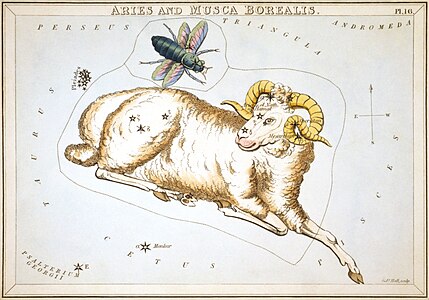 Tarjeta 16: Aries y Musca Borealis