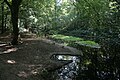 Model van het Noordereiland in het Waterloopbos. Aangelegd voor onderzoek naar de aanleg van de Willemsspoortunnel.