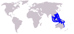 Distribución del Sousa Chinensis y el Sousa sahulensis