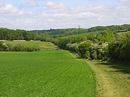 Landskap nära Cole Henley i Hampshire.