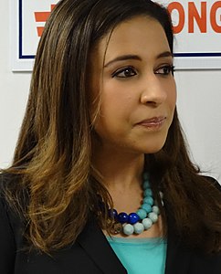 Erika Harold, Miss America 2003