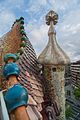 Draakrugdak van Casa Batlló