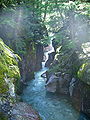 Avalanche Creek près du sentier Trail of the Cedars.