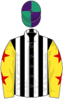 Black and white stripes, yellow sleeves, red stars, purple and emerald green quartered cap