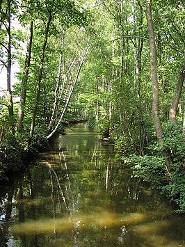 De Swalm bij de Hariksee (D)