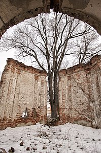 Ruins of chapel in Văcărești