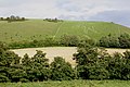 Cerne Abbas