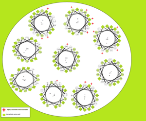 Wieldiagram van de alfa-helix