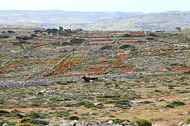 Majjistral Nature and History Park