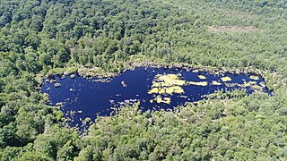 Bog : "Tourbière de la Grande Pile".